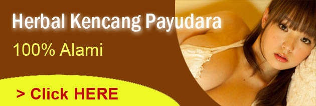 kencang payudara kencang payudara